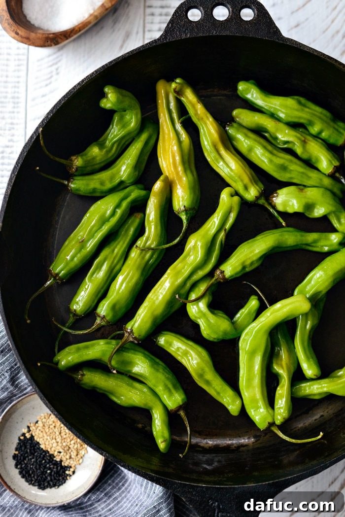 Sesame-Kissed Blistered Shishito Peppers with Zesty Lemon Garlic Aioli 12 Shishito peppers being carefully added to the preheated cast iron skillet for blistering