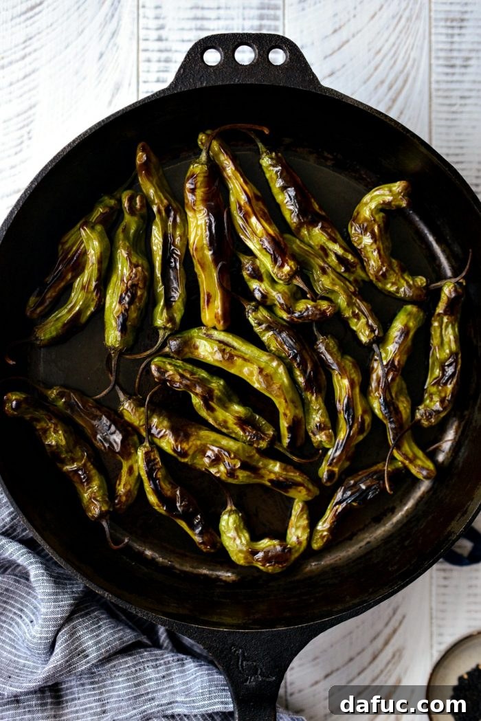 Sesame-Kissed Blistered Shishito Peppers with Zesty Lemon Garlic Aioli 14 Fully blistered shishito peppers in the skillet, showcasing even charring and tender appearance