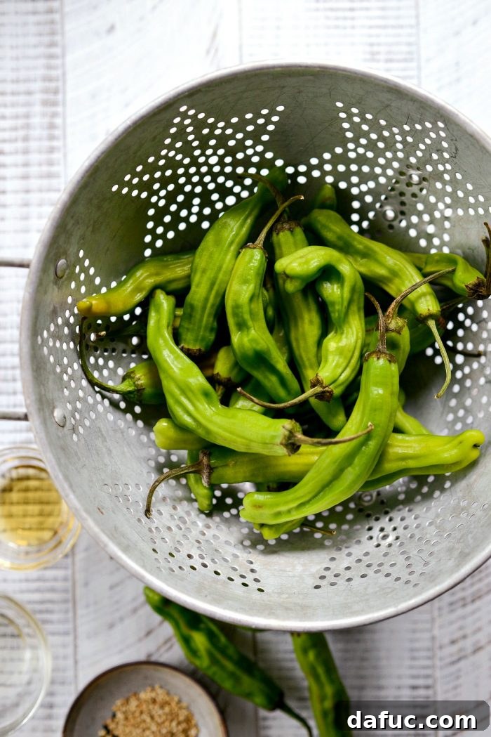 Sesame-Kissed Blistered Shishito Peppers with Zesty Lemon Garlic Aioli 8 Fresh shishito peppers, neatly placed in a colander after being rinsed and prepared