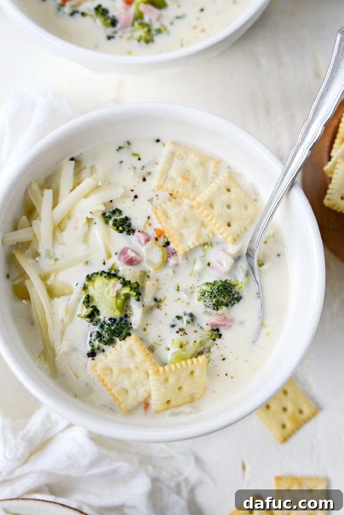 Hearty Ham, Swiss & Broccoli Delight 22 A bowl of Broccoli Ham and Swiss Soup, rich and inviting, served with a side of crunchy crackers.