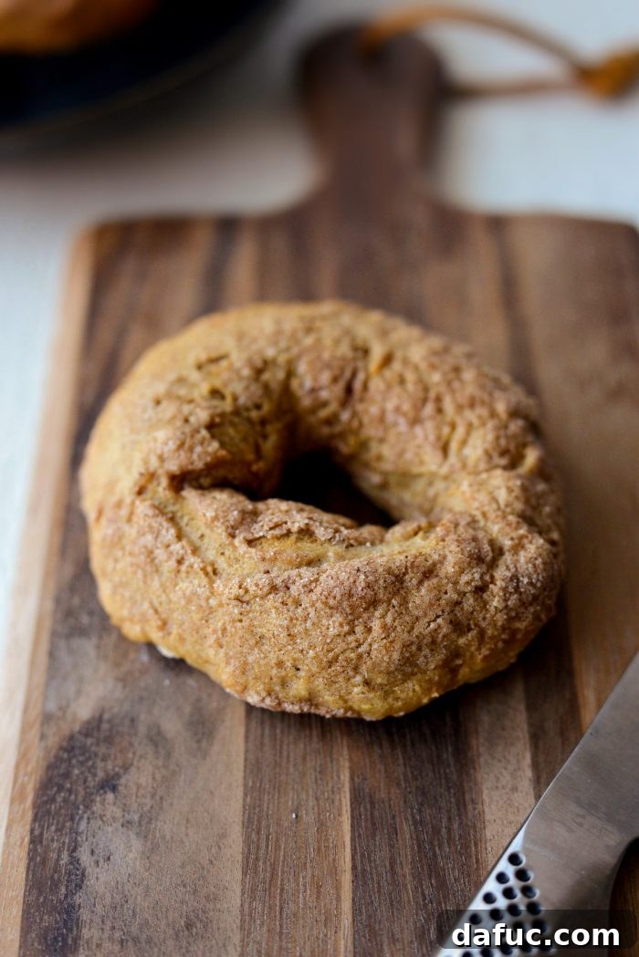 Delicious Air Fryer Pumpkin Spice Bagels 22 Close-up of a perfectly air-fried pumpkin spice bagel showing the sweet, crackly sugar crust.