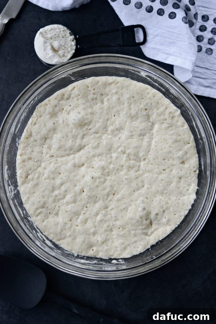 No-knead dough after 18-24 hours, showing significant rise and bubbles.