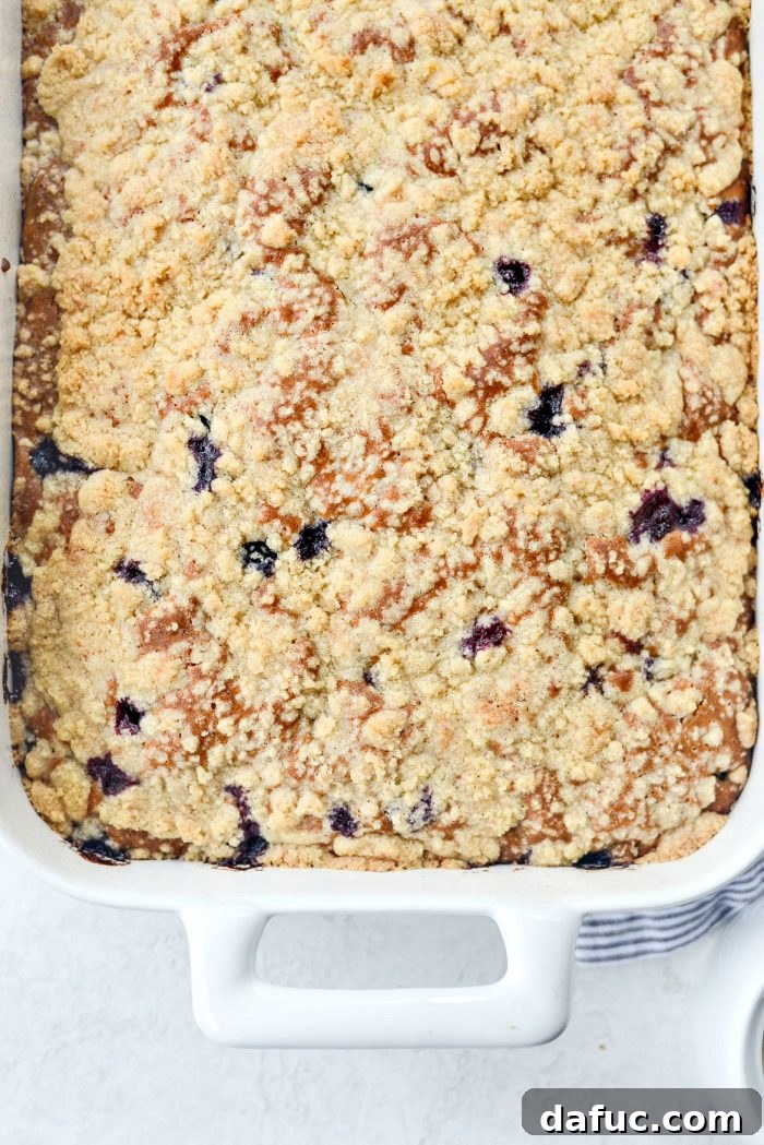 Streusel Berry Bliss 17 Freshly baked Blueberry Crumb Cake removed from the oven