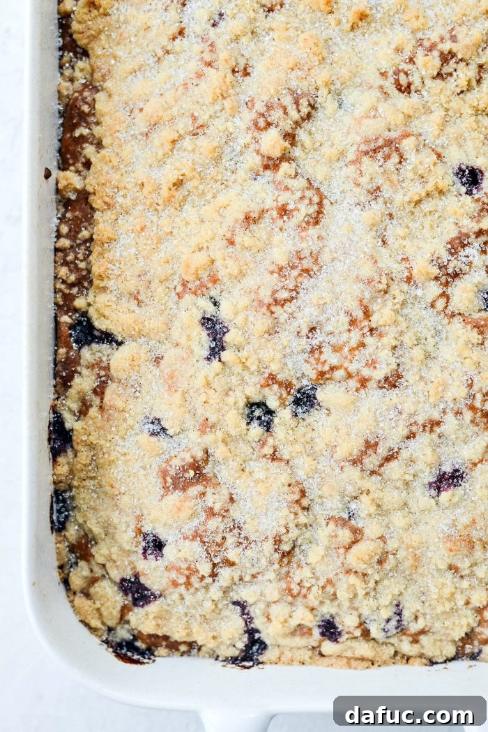 Streusel Berry Bliss 18 Warm Blueberry Crumb Cake with a sparkling sugar topping