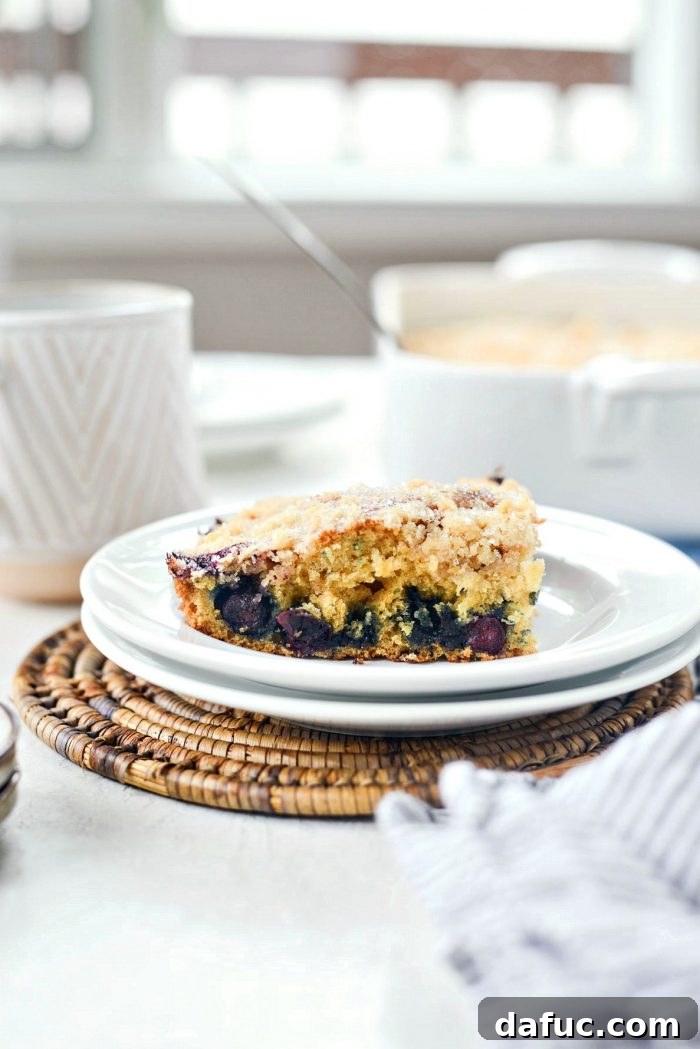 Streusel Berry Bliss 20 Whole Blueberry Crumb Cake cooling on a wire rack
