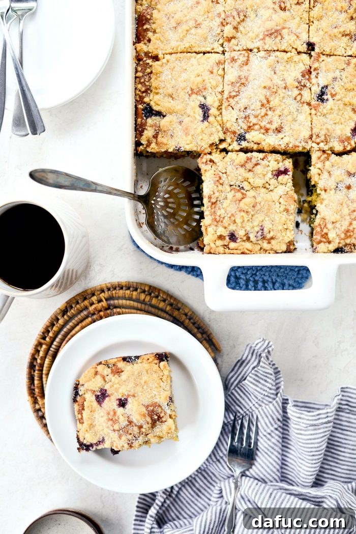 Streusel Berry Bliss 3 Close-up of baked Blueberry Crumb Cake showing juicy berries and crumb topping