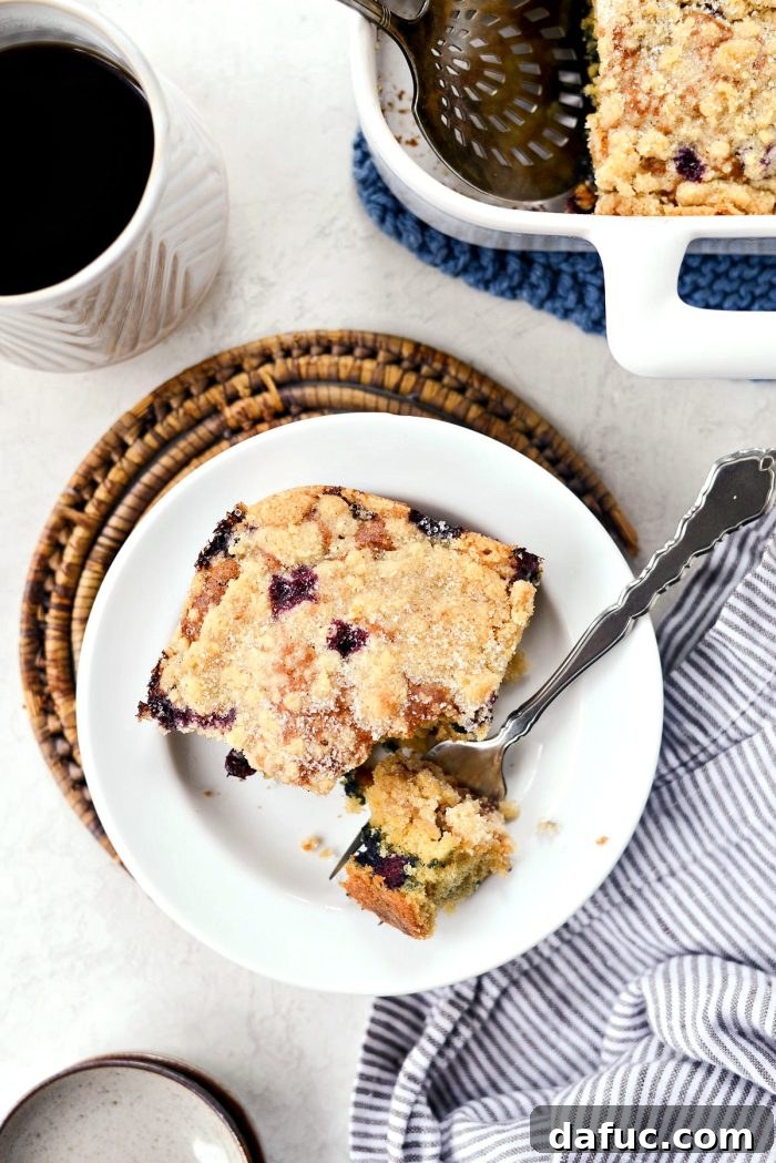 Streusel Berry Bliss 21 Close-up of a slice of Blueberry Crumb Cake, showing texture and fruit