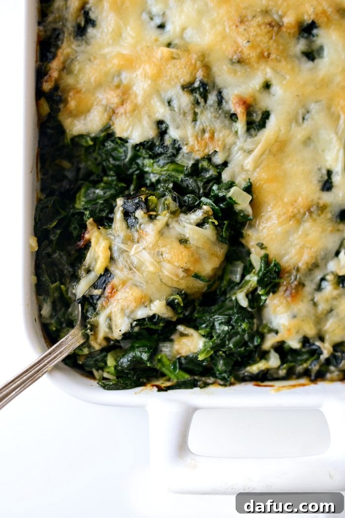A spoonful of creamy Spinach Gratin being lifted from the casserole dish, showcasing its rich texture and melted cheese.