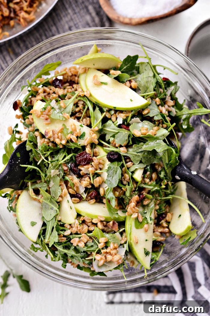 The winter farro salad being thoroughly tossed to combine all ingredients with the honey dijon dressing, ensuring an even coat.