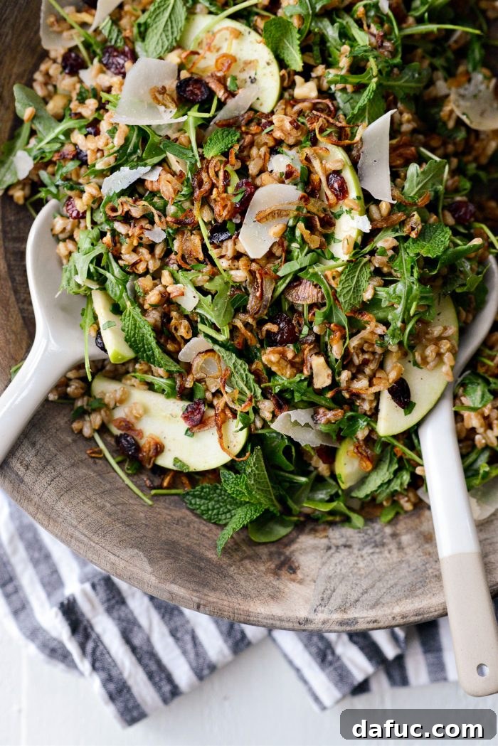 A final overhead shot of the Winter Farro Salad with Fried Shallots, emphasizing its artful presentation and mouth-watering appeal.