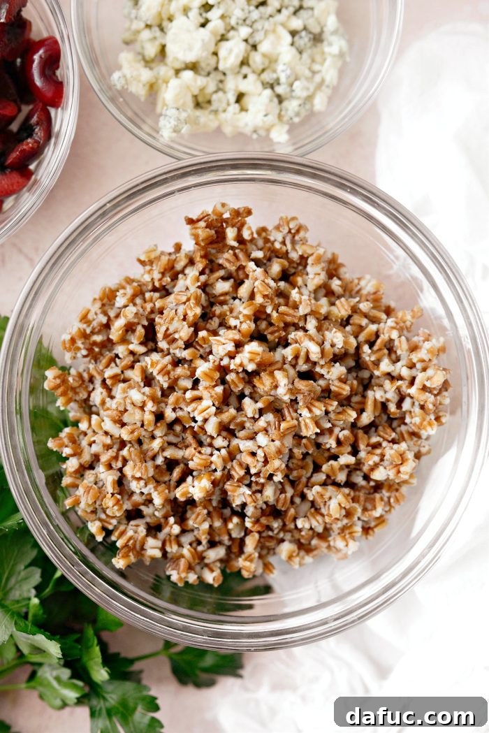 Perfectly cooked red winter wheat berries cooling on a platter