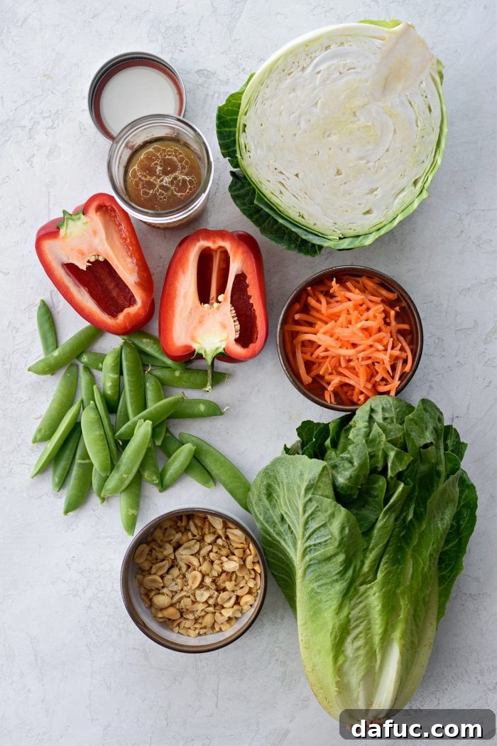 Zesty Thai Cabbage Slaw 4 An array of fresh ingredients laid out, ready for the Thai Cabbage Salad preparation.