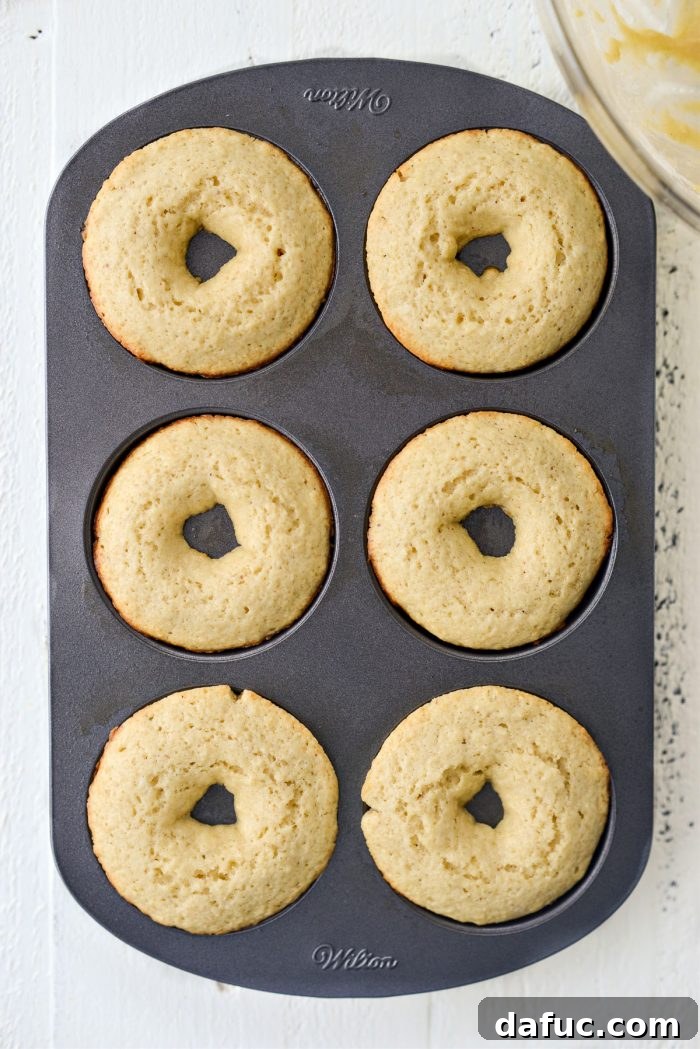 Freshly baked doughnuts still in the pan, golden brown and perfectly risen.