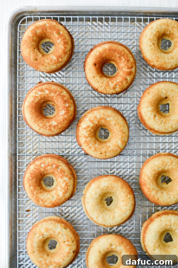 Baked doughnuts cooling completely on a wire rack before glazing.