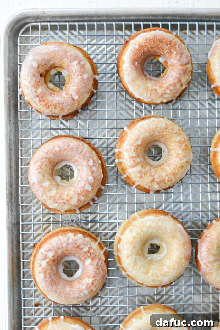 Multiple Glazed Buttermilk Cake Doughnuts lined up on a wire rack, allowing the glaze to set.