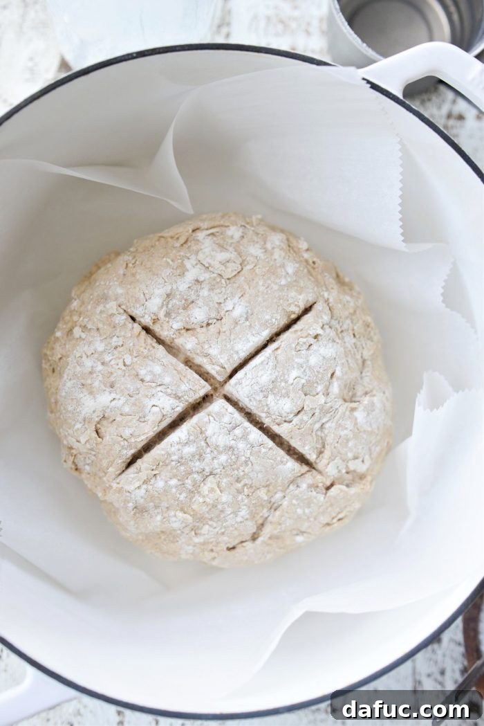 Hearty Irish Hearth Bread 11 Irish Soda Bread dough on parchment paper, being lowered into a Dutch oven