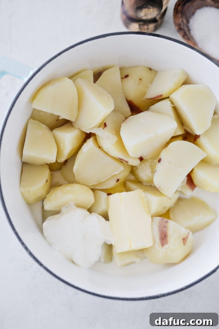 Colcannon Irish Comfort Mash 19 cooked potatoes, milk, sour cream and butter