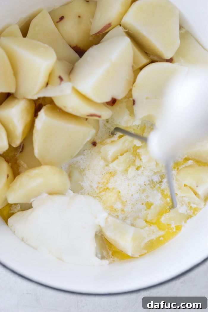 Colcannon Irish Comfort Mash 20 mash potatoes