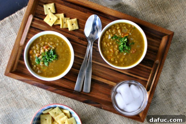 Hearty Plant-Based Lentil Stew 2 Vegetarian Lentil Soup l SimplyScratch.com