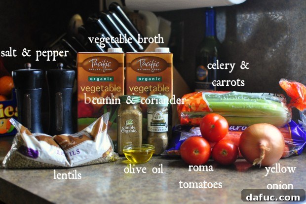 Hearty Plant-Based Lentil Stew 3 Ingredients for Vegetarian Lentil Soup