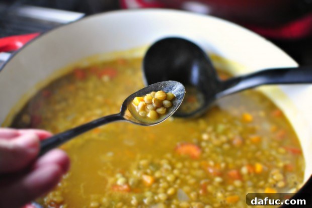 Hearty Plant-Based Lentil Stew 25 Testing cooked lentils for tenderness