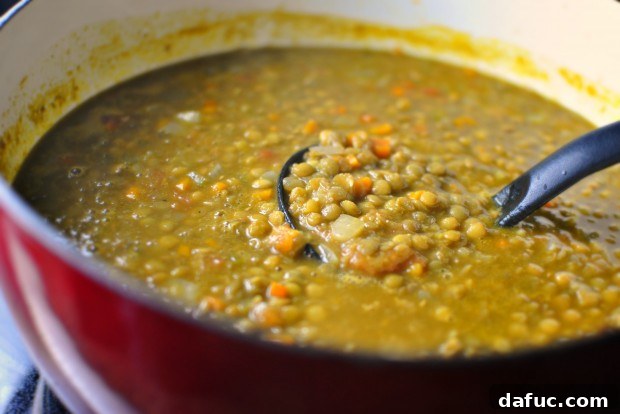Hearty Plant-Based Lentil Stew 28 Bowl of Hearty Vegetarian Lentil Soup