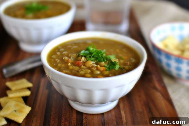 Hearty Plant-Based Lentil Stew 29 Garnishing Vegetarian Lentil Soup with fresh parsley