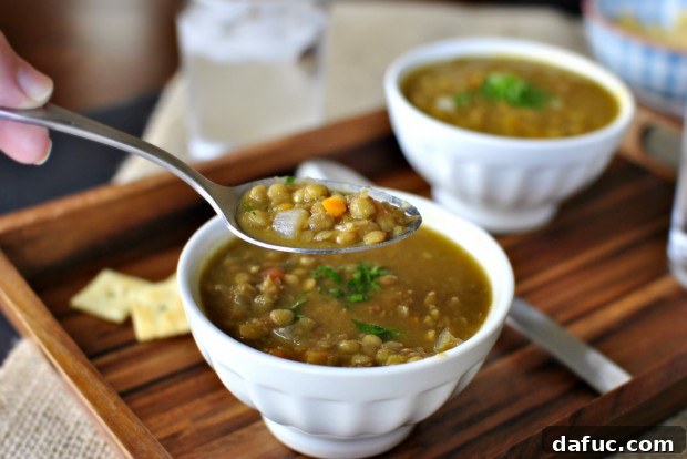 Hearty Plant-Based Lentil Stew 31 A spoonful of Hearty Vegetarian Lentil Soup