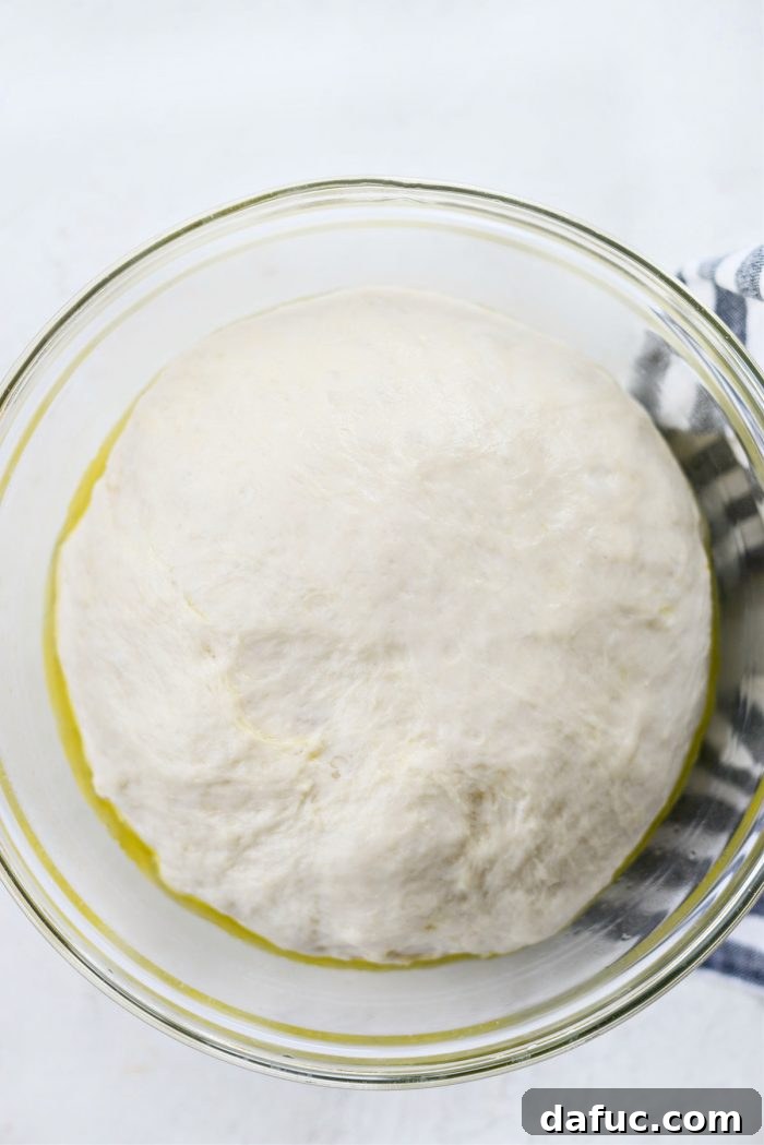 Prepared pizza dough made with bread flour, ready for shaping