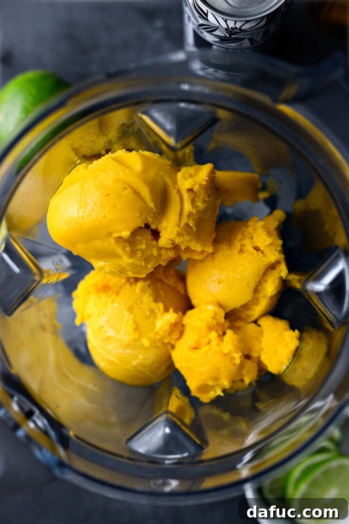 Smoked Mango Swirl 10 sorbet in blender