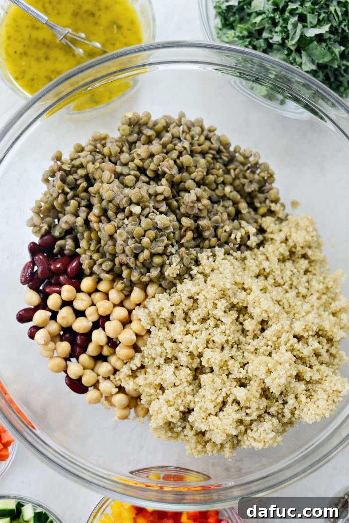 Cooked Quinoa, Lentils, and Beans in a Large Bowl