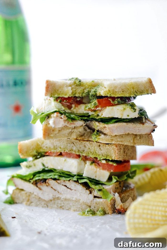 Final glamour shot of the Grilled Turkey Pesto Sandwich with sides