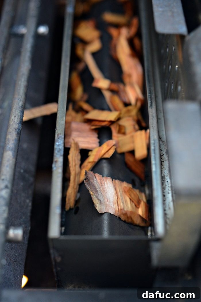 Irresistible Smoked Chile Queso 19 wood chips in smokebox