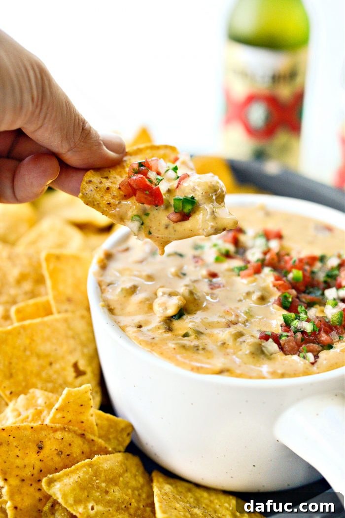 Irresistible Smoked Chile Queso 28 Smoked Chile Con Queso