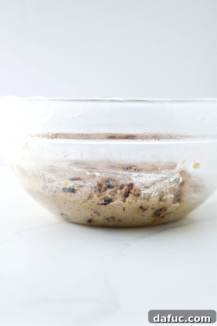 Effortless Cranberry Walnut Loaf 12 Covered bowl of no-knead bread dough resting for 18-24 hours