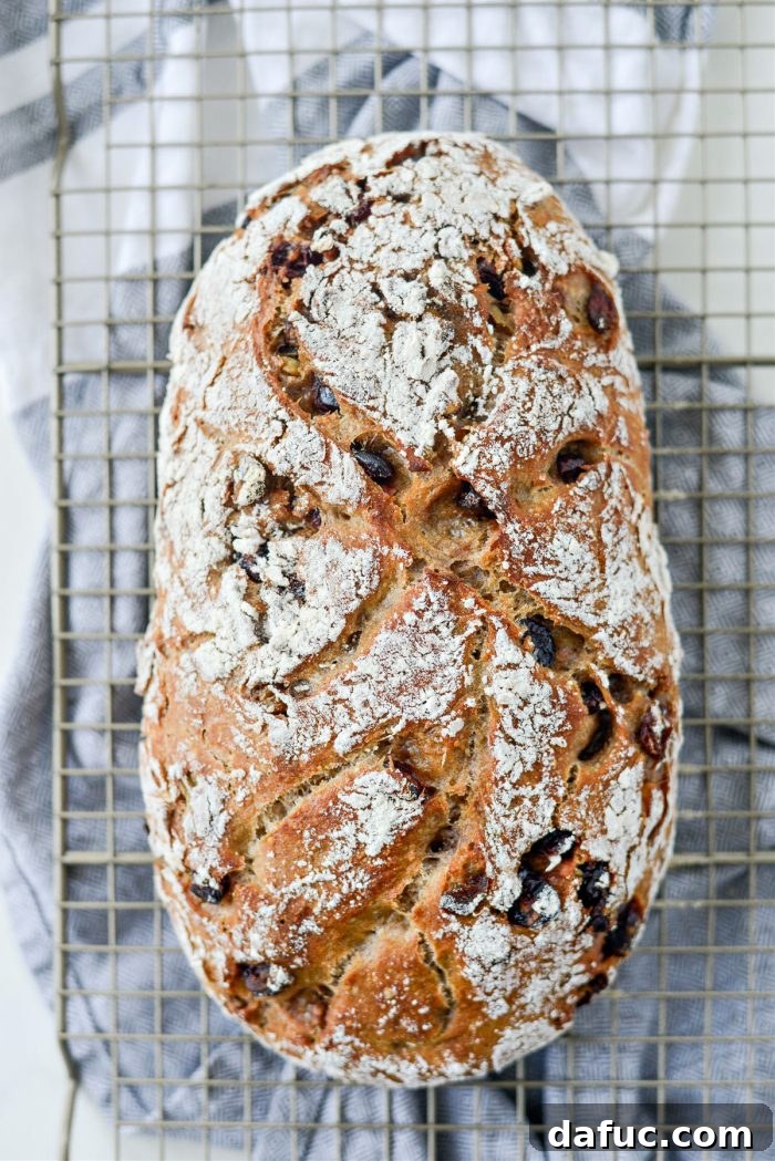 Effortless Cranberry Walnut Loaf 20 Removing the hot bread loaf from the Dutch oven to a wire rack