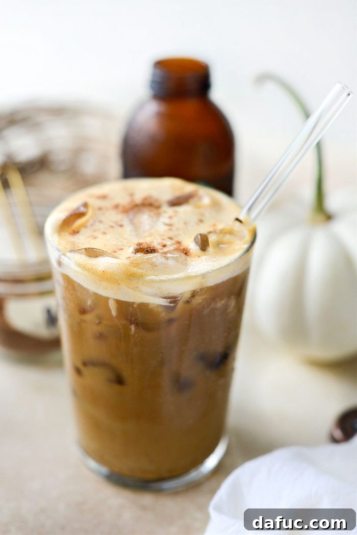 Fall's Creamy Pumpkin Brew 16 Delicious Pumpkin Cream Cold Brew Coffee ready to drink