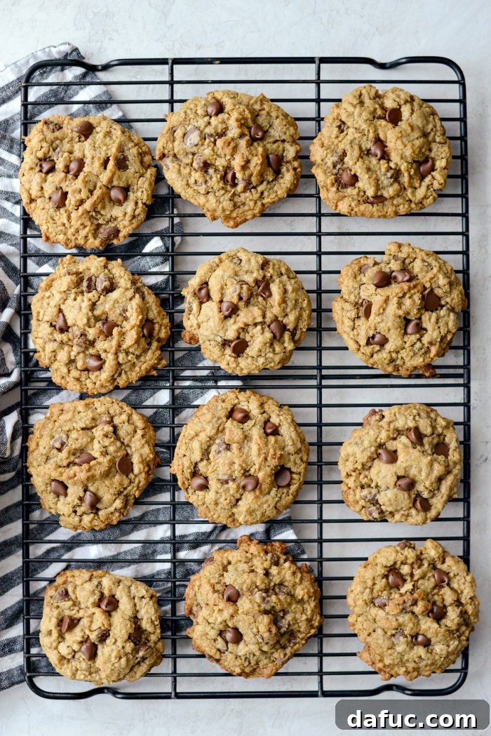 Golden Toffee Oatmeal Chocolate Chip Cookies 19 Freshly scooped Oatmeal Chocolate Chip Toffee Cookies dough balls arranged on a parchment-lined baking sheet, ready for the oven.