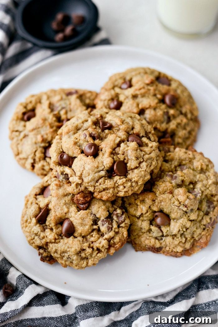 Golden Toffee Oatmeal Chocolate Chip Cookies 21 A close-up of a perfectly baked Oatmeal Chocolate Chip Toffee Cookie, ready to be devoured.