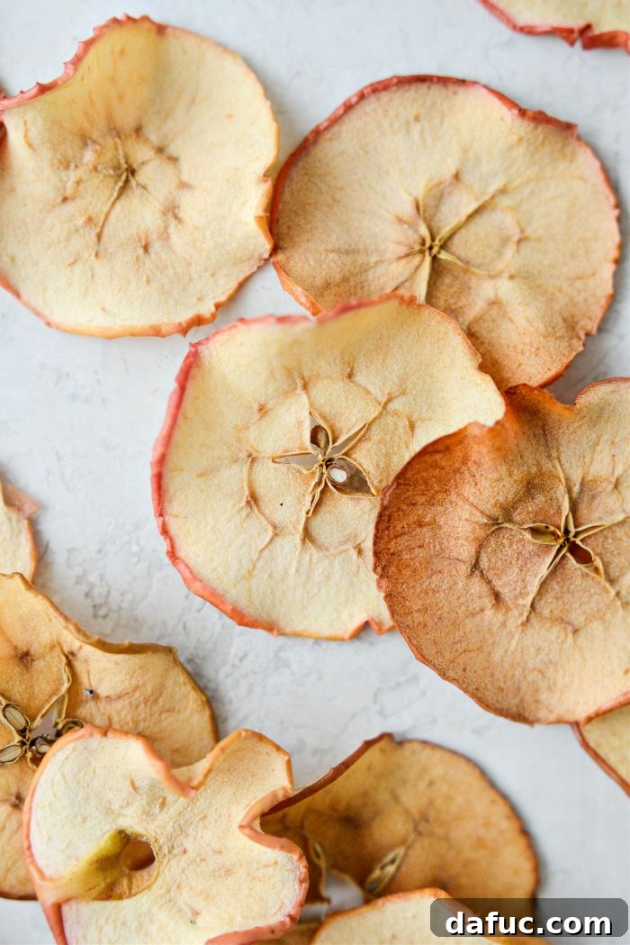 Crispy Baked Apple Chips - Freshly baked apple slices on a baking sheet, golden and perfectly crisp.