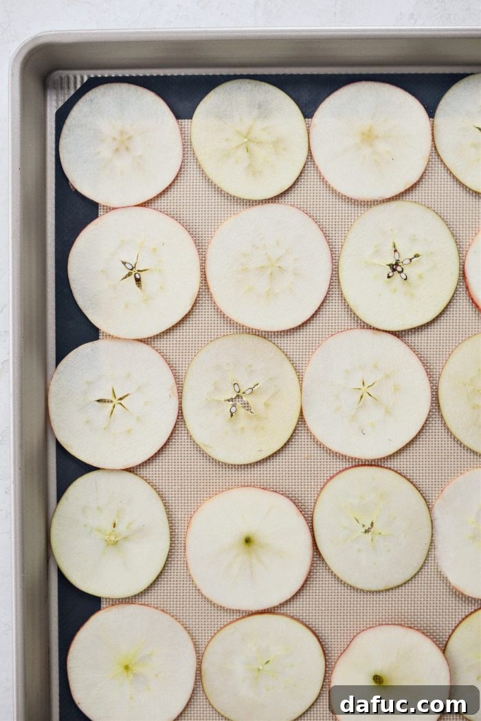 Thinly sliced apple pieces neatly arranged in a single layer on a baking sheet, ready for the oven