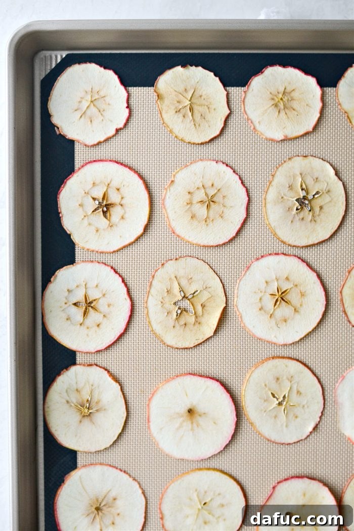 Baked apple slices after one hour, showing initial dehydration and slight browning.