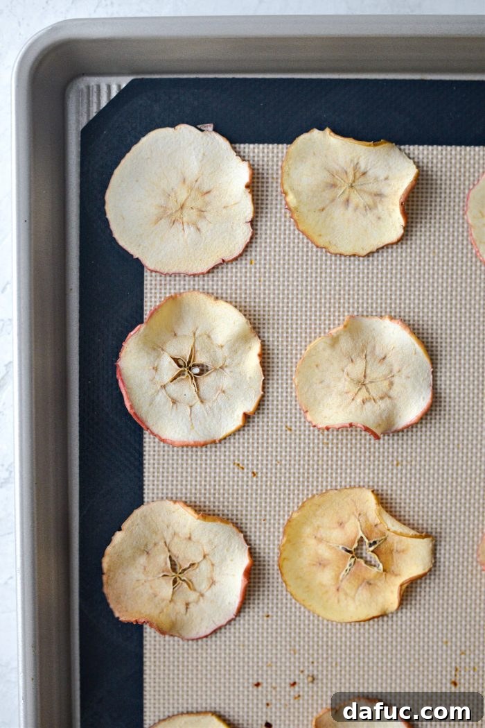 Baked apple slices on a baking sheet after two hours in the oven, noticeably drier and starting to crisp