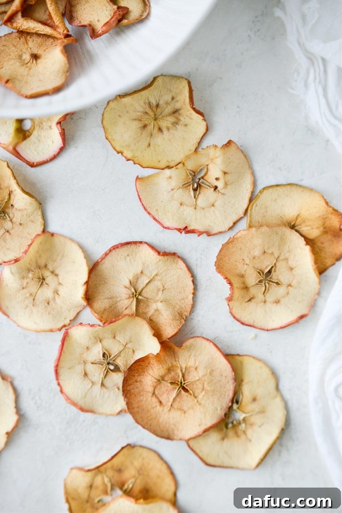 A selection of crispy baked apple chips in a rustic bowl, showcasing their golden texture.