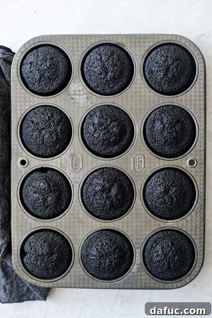 Dark Velvet Delights 16 just baked cupcakes