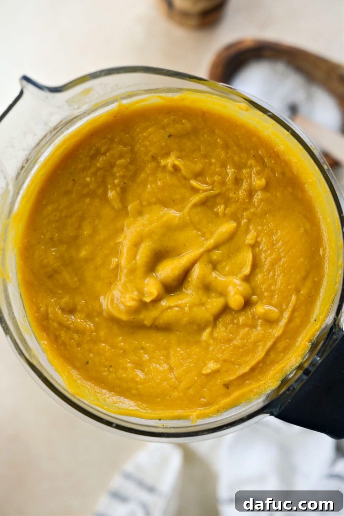 pureed soup
