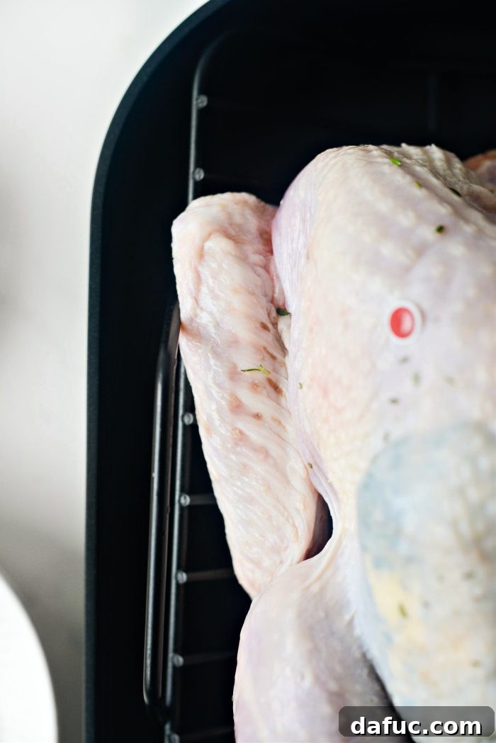 Succulent Apple and Herb Roasted Turkey 13 tuck the wings under the turkey