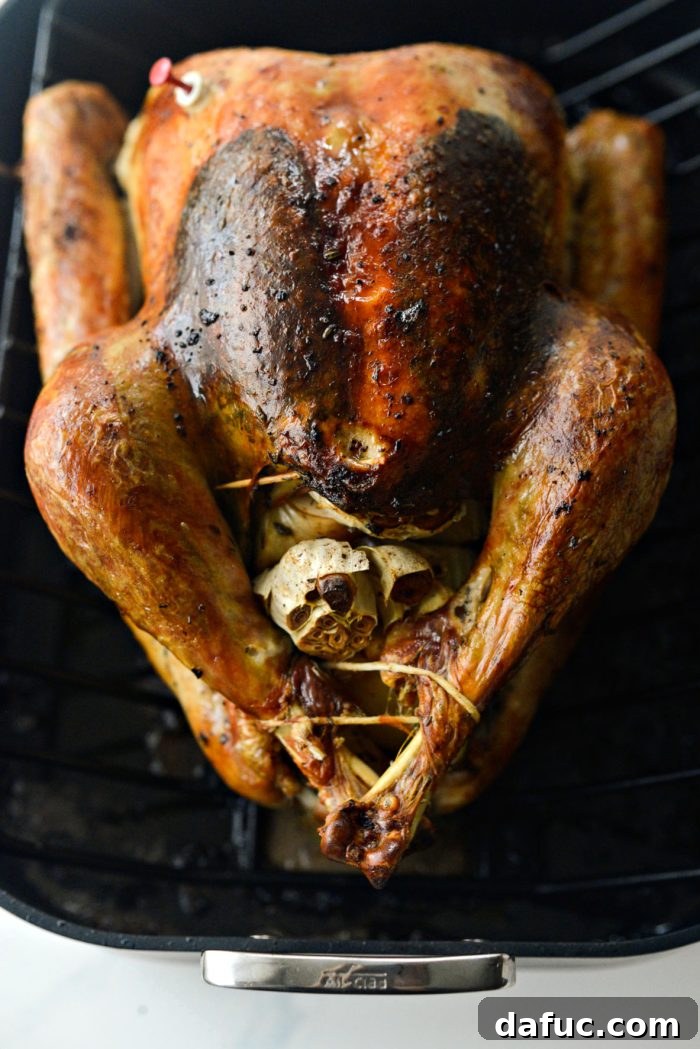 perfectly roasted turkey