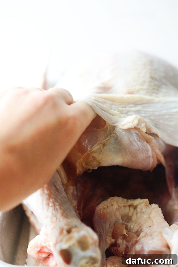 Succulent Apple and Herb Roasted Turkey 6 lift skin away from. breast meat