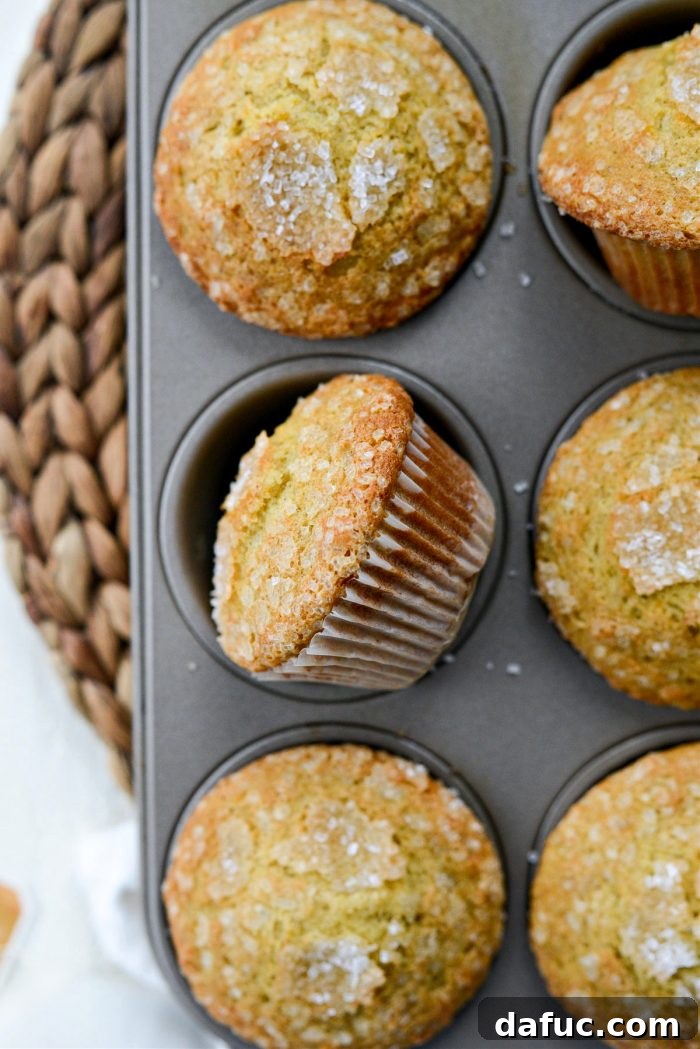 Fragrant Orange Cardamom Gems 18 Freshly baked Orange Cardamom Muffins in a muffin pan